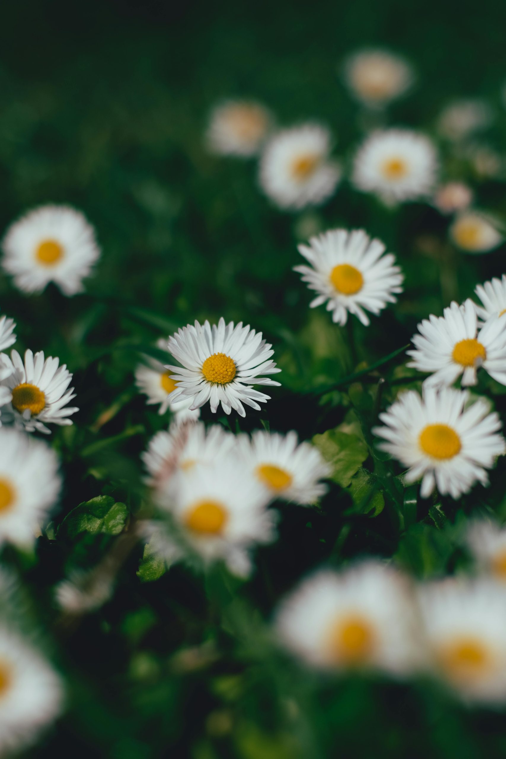 How to Talk to Your Family About Estate Planning